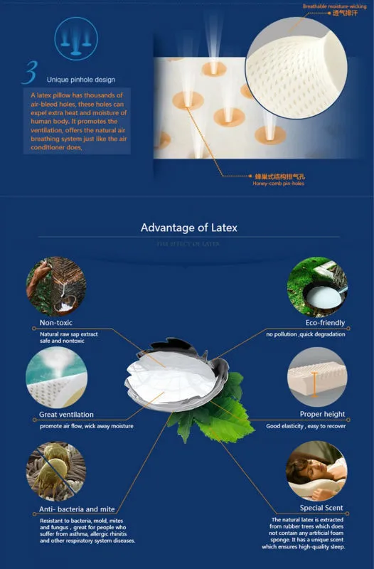 Large Size Double latex Pillow